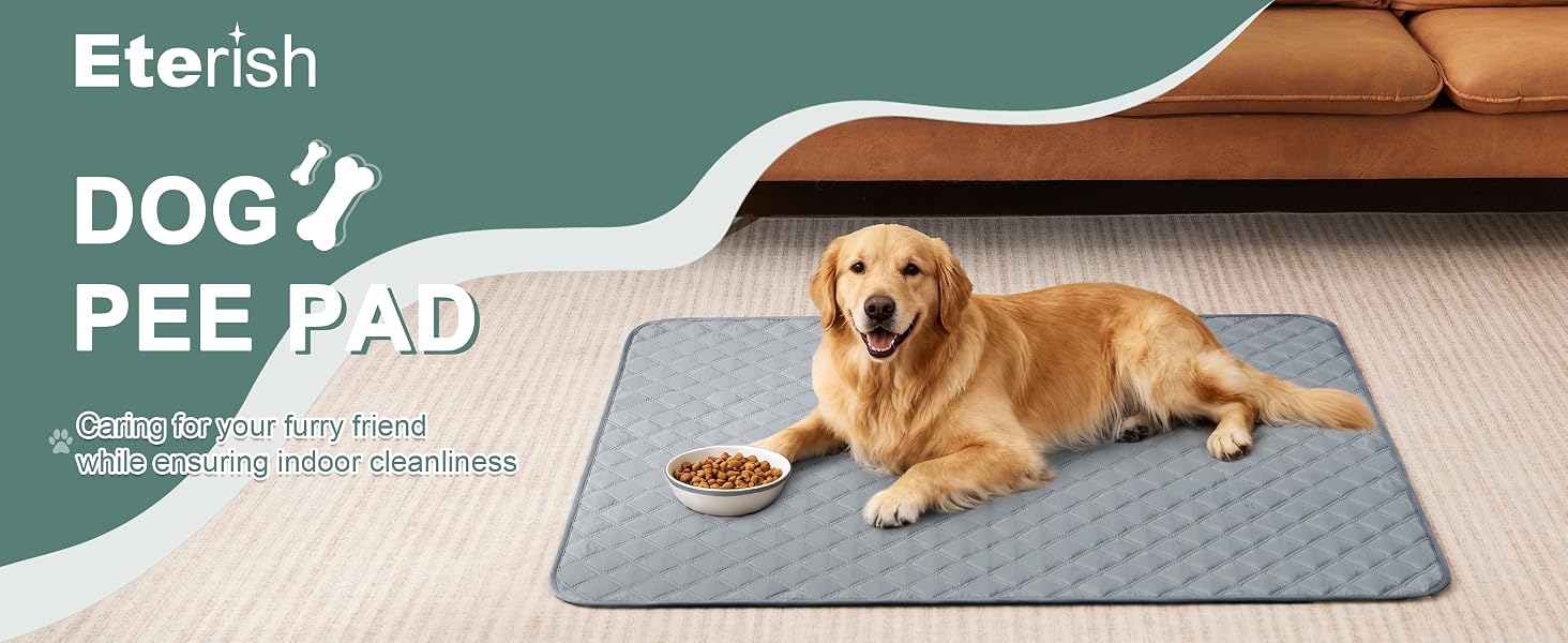Eterish Brand Banner — Indoor Cleanliness