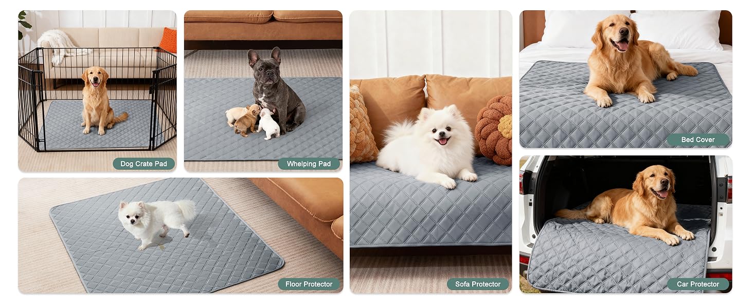 Multi-Use Grid Overview — Crate, Whelping, Floor, Sofa, Bed, Car