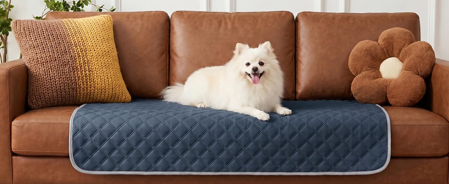 Sofa Protection